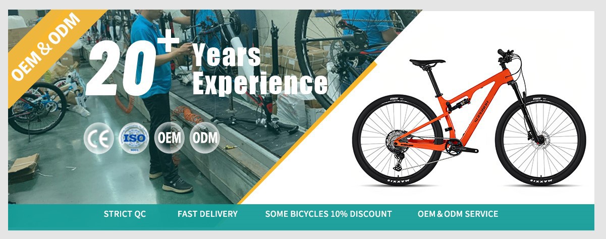 full suspension mountain bike