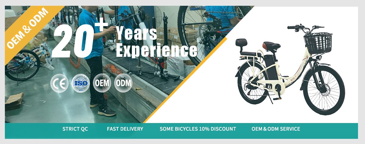 electric city bike factory