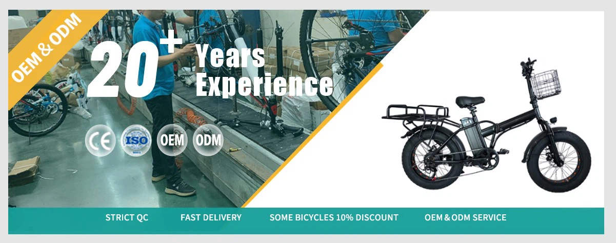 Electric cargo Ebike Factory Electric cargo Ebike Factory