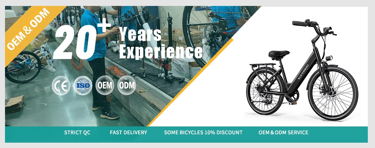 Electric hardtail mountain bike Factory