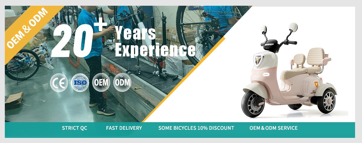 children electric Bike wholesale Factory children electric Bike wholesale Factory