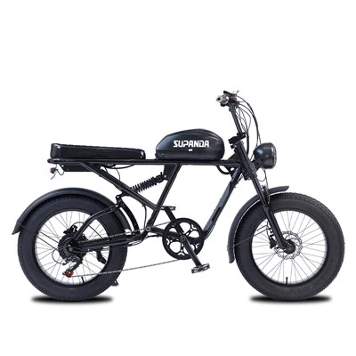 750w Electric Mountain Bike