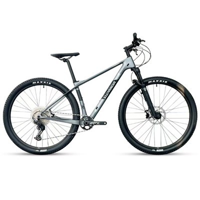 Carbon Fiber 29 Inch Mountain Bike