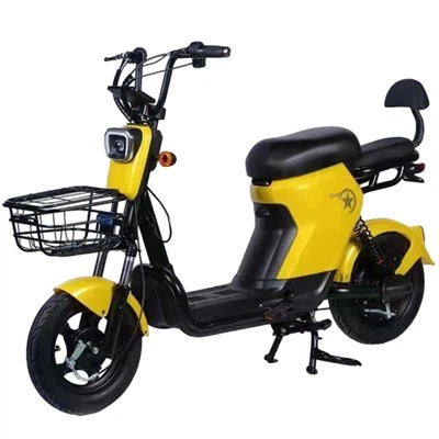City Electric Scooter Adult