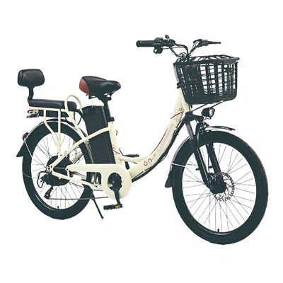 City Star Electric Bike