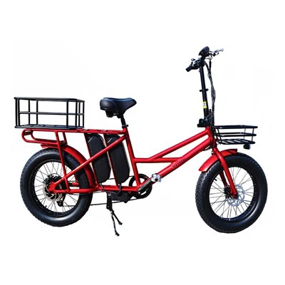Electric Bike For Cargo 48V 500W Ebike Cargo Family