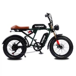 Electric Bike With Double Battery