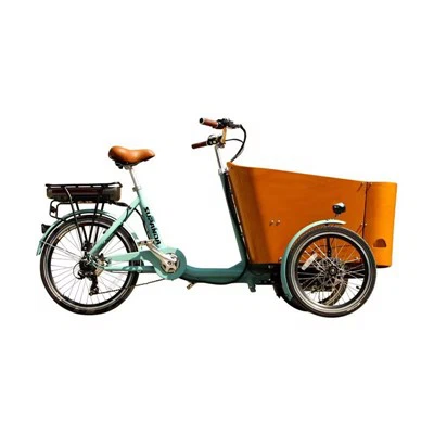 Electric Cargo Delivery Bike