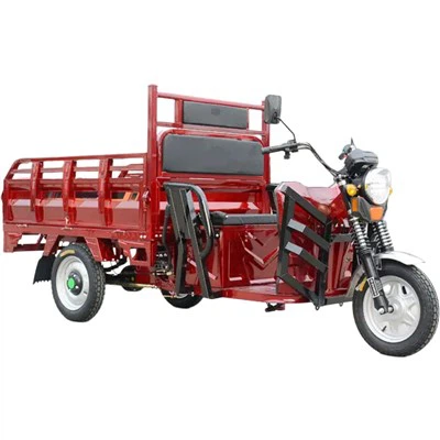 Electric Cargo Tricycle