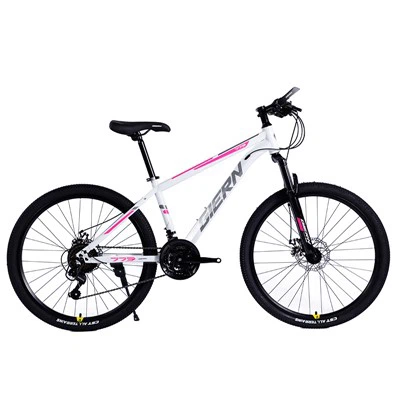 Hardtail Mountain Bike 26 Inch