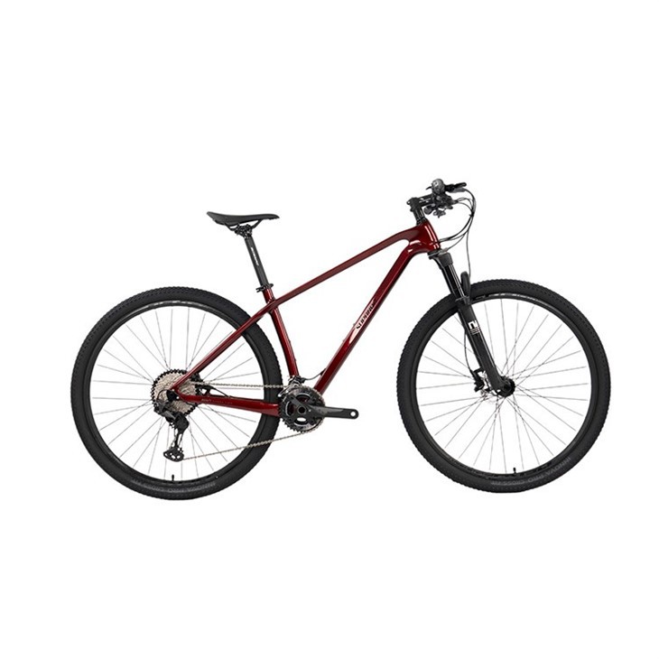 SUPANDA 29 Inch Carbon Fiber Frame Mountain Bike 24 Speed