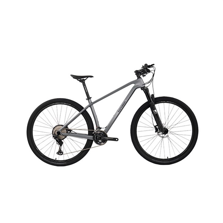 SUPANDA 29 Inch Carbon Fiber Frame Mountain Bike 24 Speed